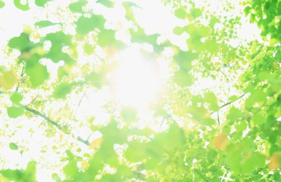 【小美玉市でリフォーム】外壁塗装ならお任せ下さい